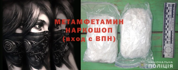 прущие грибы Волосово