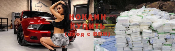 прущие грибы Волосово