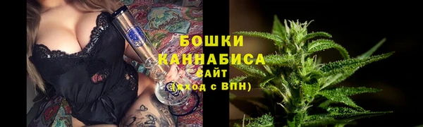 прущие грибы Волоколамск