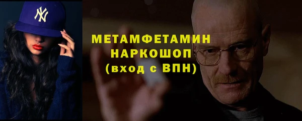 прущие грибы Волоколамск