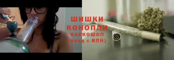 прущие грибы Волоколамск
