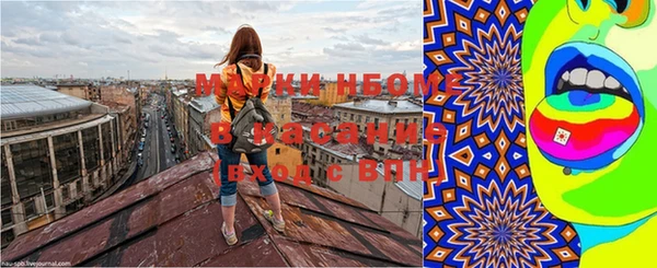 прущие грибы Волоколамск