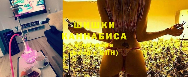 прущие грибы Волосово