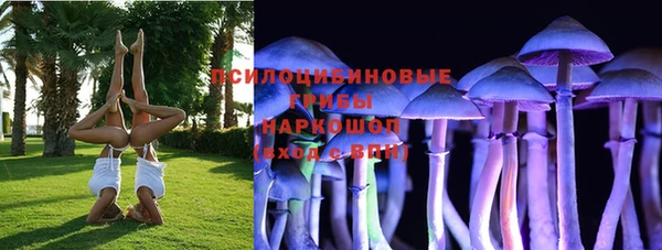 прущие грибы Волоколамск