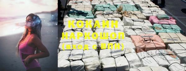 прущие грибы Волосово