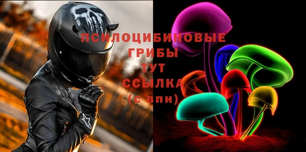 прущие грибы Волосово