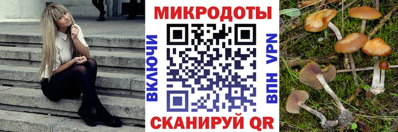 купить закладку  kraken зеркало  Псилоцибиновые грибы прущие грибы  Вышний Волочёк 
